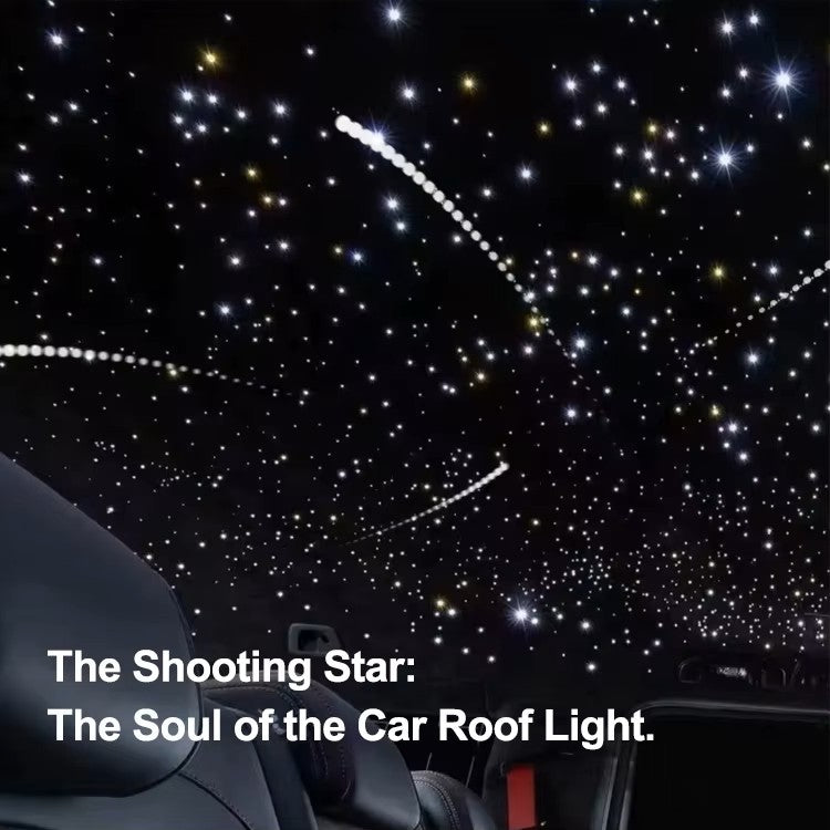 GreenFuchs | Sternenhimmel (optional mit Meteorfunktion) RGBW LED App  | Universal